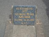 image of grave number 930016